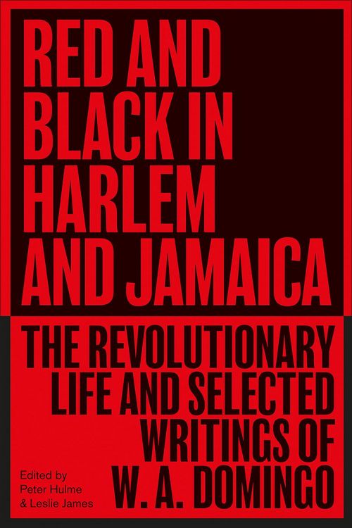 Produktbild: Red and Black in Harlem and Jamaica