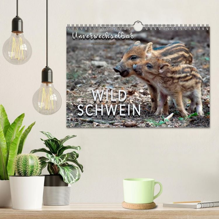 Produktbild: Unverwechselbar - Wildschwein (Wandkalender 2026 DIN A4 quer), CALVENDO Monatskalender