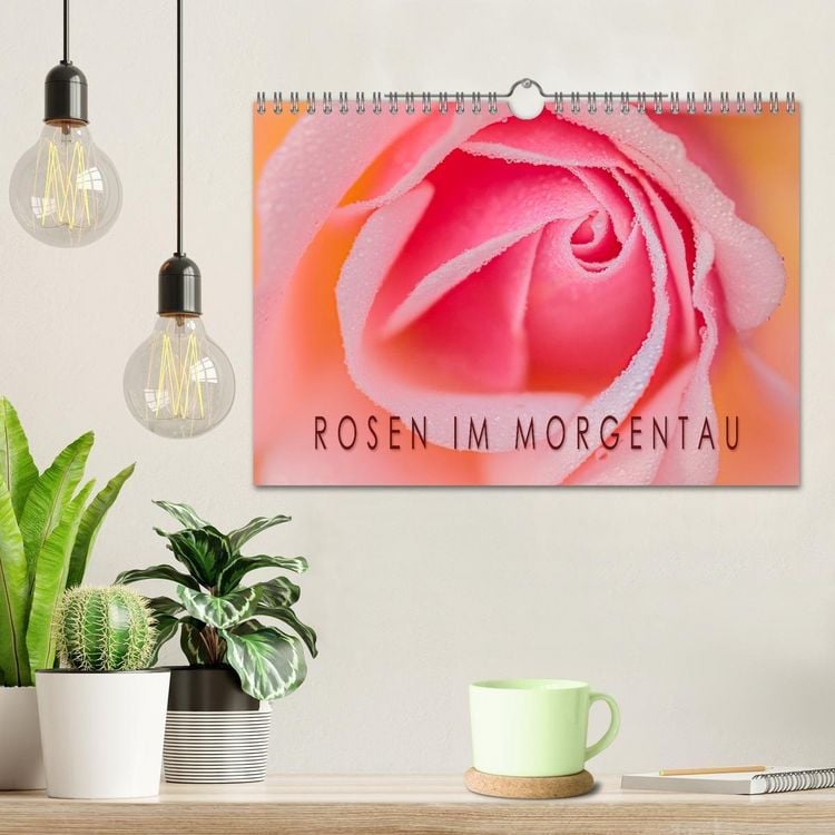 Produktbild: Rosen im Morgentau (Wandkalender 2026 DIN A4 quer), CALVENDO Monatskalender