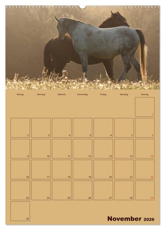 Produktbild: Pferde Gute Freunde (hochwertiger Premium Wandkalender 2026 DIN A2 hoch), Kunstdruck in Hochglanz