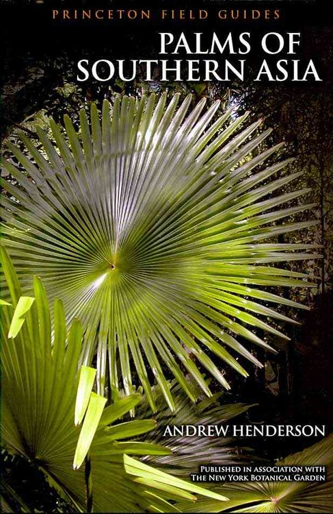 Produktbild: Henderson, A: Palms of Southern Asia