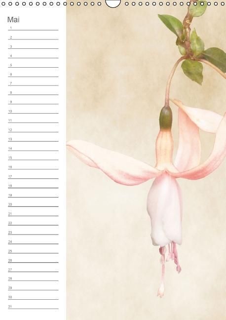 Produktbild: Zarte Bl&uuml;ten / Geburtstagskalender (Wandkalender immerw&auml;hrend DIN A3 hoch)