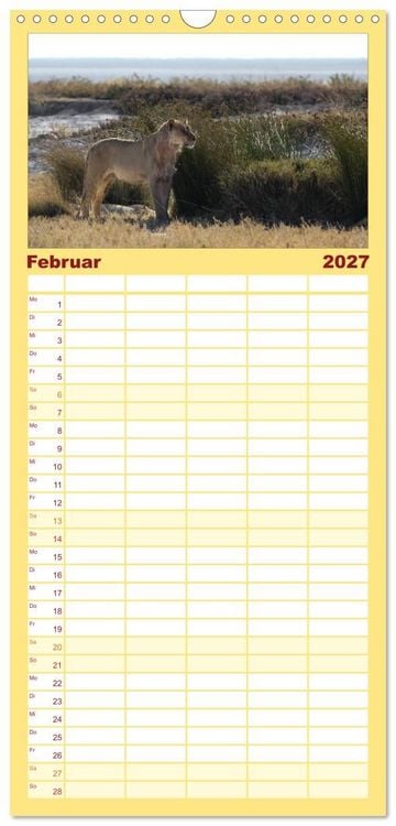 Produktbild: Familienplaner 2027 - Wildes Namibia mit 5 Spalten (Wandkalender, 21 x 45 cm) CALVENDO