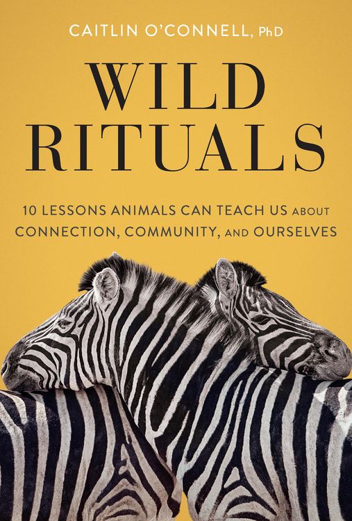 Produktbild: Wild Rituals