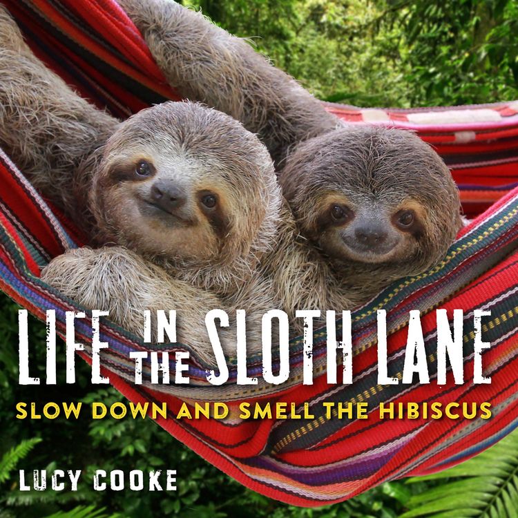 Produktbild: Life in the Sloth Lane