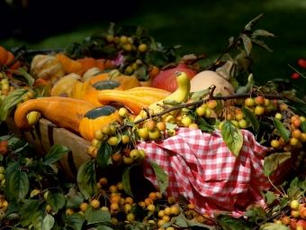 Produktbild: CALVENDO Puzzle Herbstliches Stillleben 1000 Teile Puzzle quer | 1000 Teile Lege-Gr&ouml;&szlig;e 64 &times; 48 cm Foto-Puzzle f&uuml;r gl&uuml;ckliche Stunden