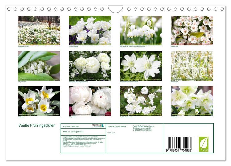 Produktbild: Wei&szlig;e Fr&uuml;hlingsbl&uuml;ten (Wandkalender 2026 DIN A4 quer), CALVENDO Monatskalender