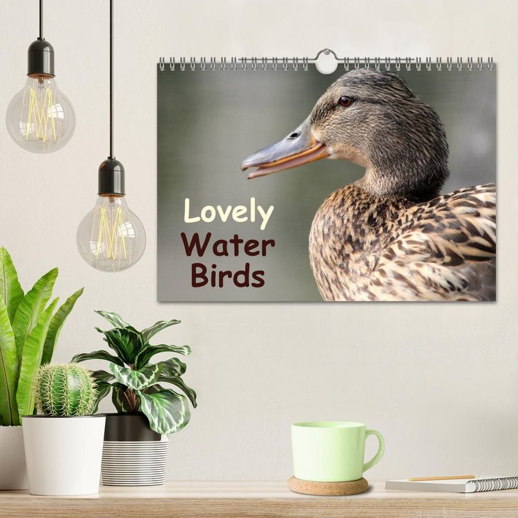 Produktbild: Lovely Water Birds (Wall Calendar 2026 DIN A4 landscape), CALVENDO 12 Month Wall Calendar