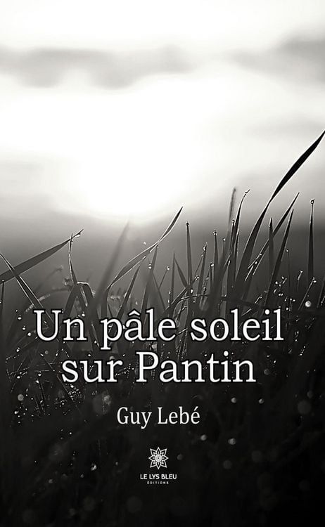 Produktbild: Un p&acirc;le soleil sur Pantin
