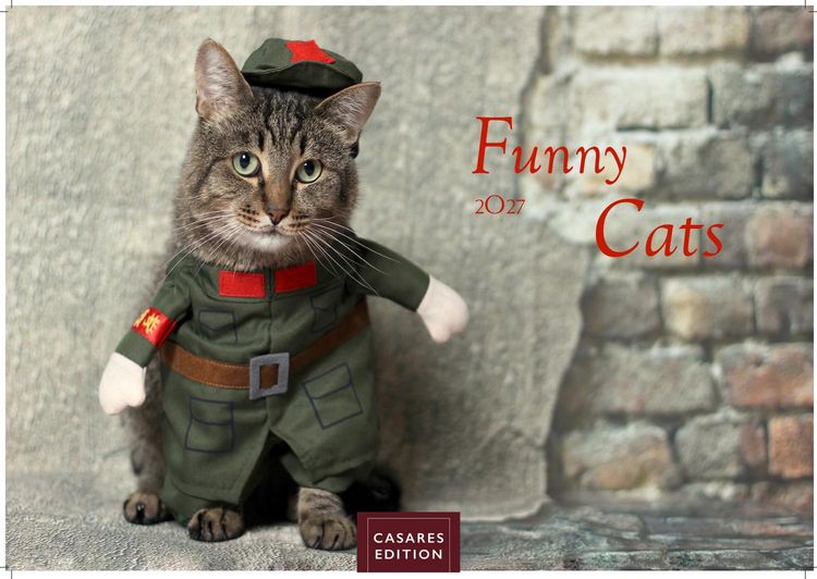 Produktbild: Funny Cats Kalender 2027 &ndash; Wandkalender | Fotokalender Tierkalender 24x35cm - Witziger Katzenkalender
