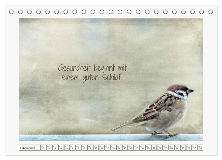 Produktbild: Irische Segensw&uuml;nsche (Tischkalender 2026 DIN A5 quer), CALVENDO Monatskalender