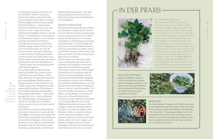 Produktbild: Die "Unkr&auml;uter" in meinem Garten