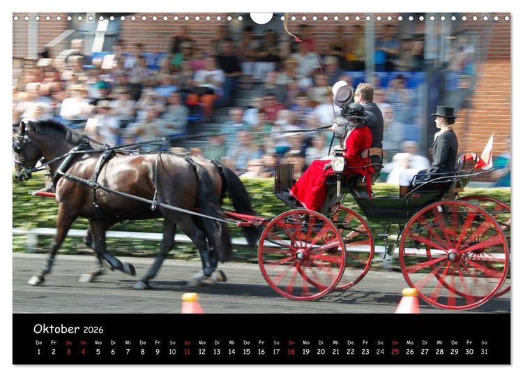 Produktbild: CIAT - Historischer Fahrsport in Celle (Wandkalender 2026 DIN A3 quer), CALVENDO Monatskalender