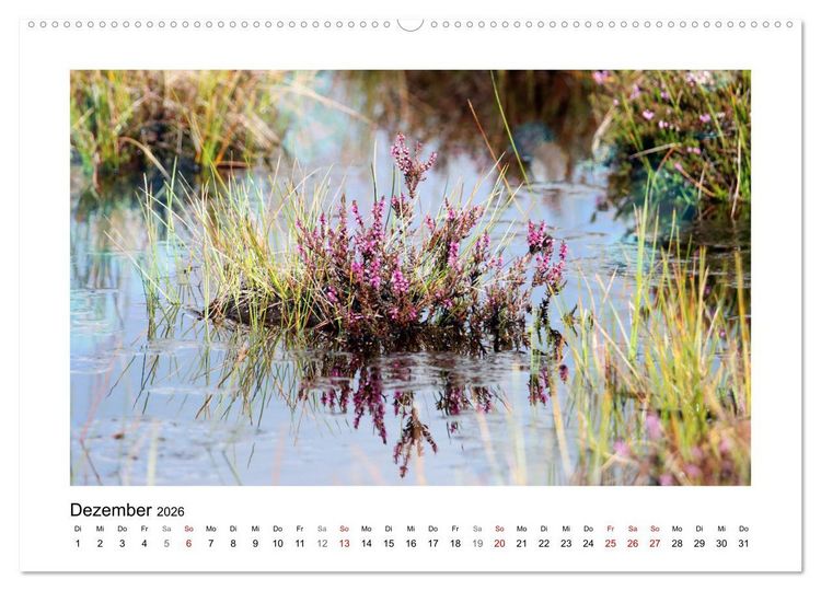 Produktbild: Rotes und Schwarzes Moor (hochwertiger Premium Wandkalender 2026 DIN A2 quer), Kunstdruck in Hochglanz