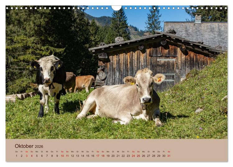 Produktbild: Bauernhoftiere - Von Klein bis Gro&szlig;, mit Fell und mit Federn. (Wandkalender 2026 DIN A3 quer), CALVENDO Monatskalender
