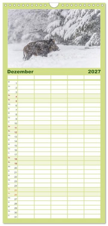 Produktbild: Familienplaner 2027 - Wildschweine &ndash; Wildlife Fotografien mit 5 Spalten (Wandkalender, 21 x 45 cm) CALVENDO