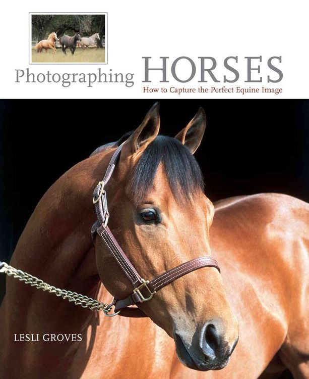 Produktbild: Photographing Horses