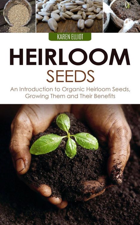Produktbild: Heirloom Seeds: An Introduction to Organic Heirloom Seeds, Growing Them, and Their Benefits