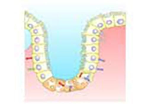 Produktbild: Estimation of Serum Alkaline Phosphatase