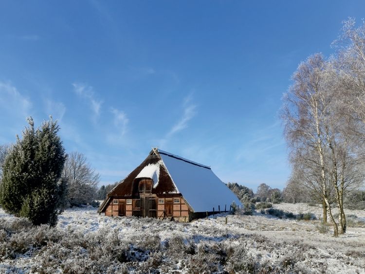 Produktbild: Winterlandschaft in der Timmerloher Heide (Puzzle)