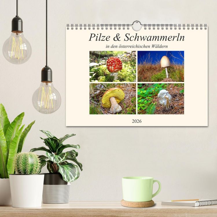 Produktbild: Pilze & Schwammerln (Wandkalender 2026 DIN A4 quer), CALVENDO Monatskalender
