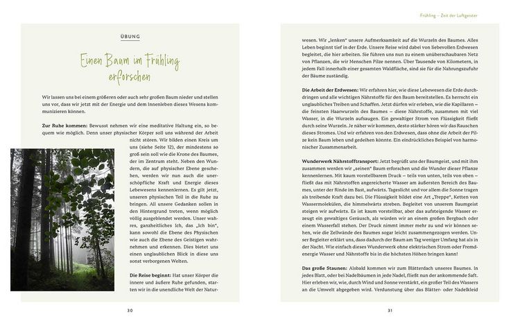 Produktbild: Die Welt der Naturgeister - Das Arbeitsbuch