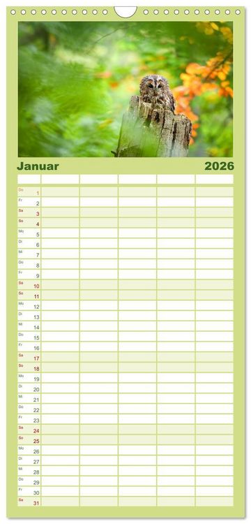 Produktbild: Familienplaner 2026 - Eulen - Wachsame und geheimnisvolle Augen mit 5 Spalten (Wandkalender, 21 x 45 cm) CALVENDO