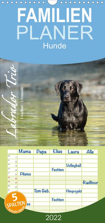 Produktbild: Familienplaner Labrador Trio - 3 Farben, 3 Freunde (Wandkalender 2022 , 21 cm x 45 cm, hoch)