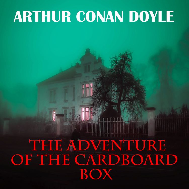 Produktbild: The Adventure of the Cardboard Box
