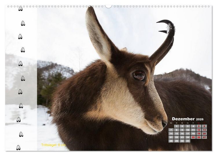 Produktbild: Tierspuren in der Natur (hochwertiger Premium Wandkalender 2026 DIN A2 quer), Kunstdruck in Hochglanz