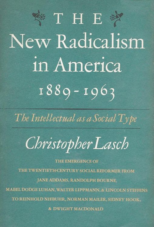 Produktbild: New Radicalism in America