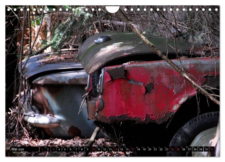 Produktbild: Autowracks - rostende Liebe (Wandkalender 2026 DIN A4 quer), CALVENDO Monatskalender