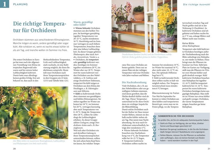 Produktbild: Orchideen pflegen