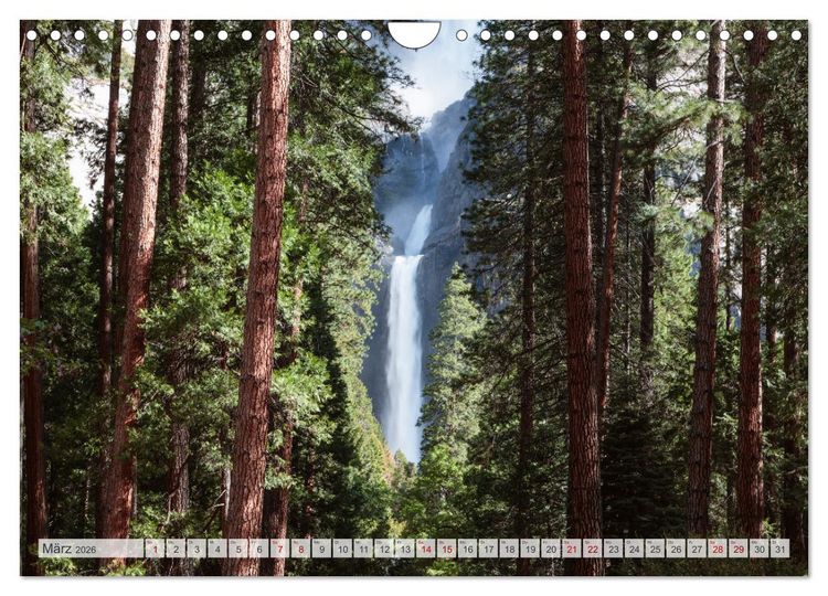 Produktbild: W&auml;lder der Welt (Wandkalender 2026 DIN A4 quer), CALVENDO Monatskalender