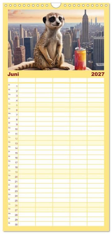 Produktbild: Familienplaner 2027 - Erdm&auml;nnchen in New York City mit 5 Spalten (Wandkalender, 21 x 45 cm) CALVENDO