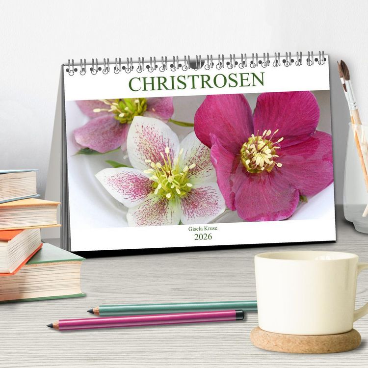 Produktbild: Christrosen (Tischkalender 2026 DIN A5 quer), CALVENDO Monatskalender