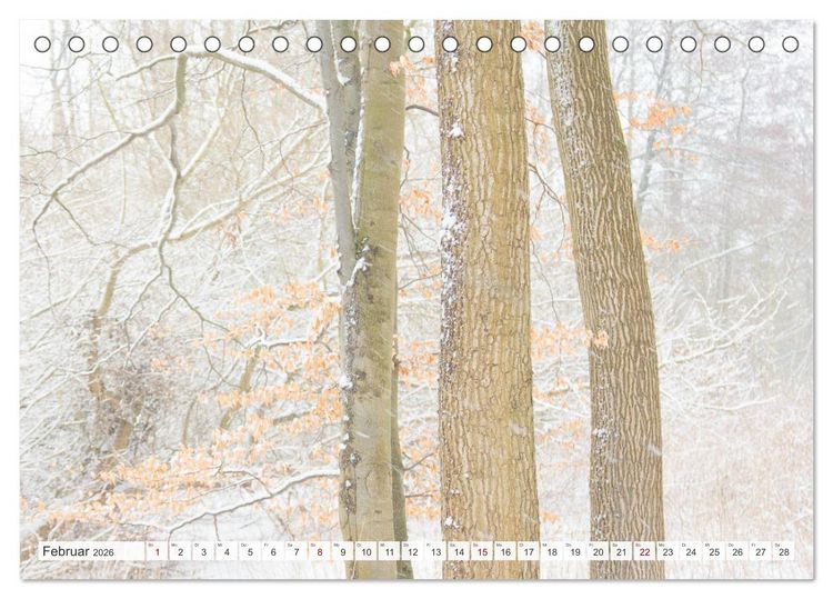 Produktbild: Feine Formen der Natur (Tischkalender 2026 DIN A5 quer), CALVENDO Monatskalender