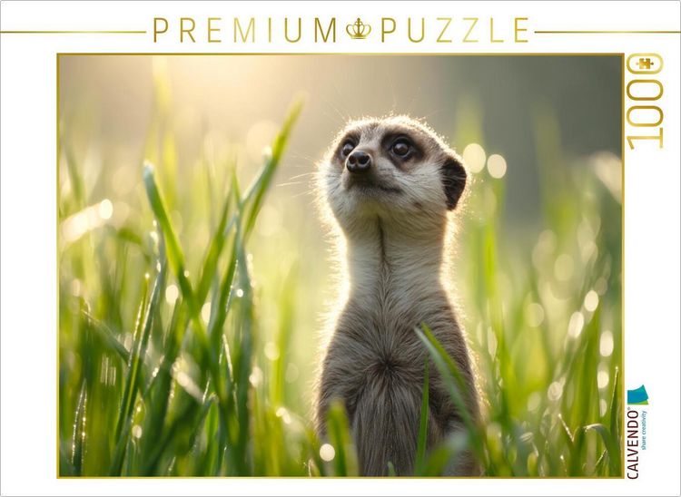 Produktbild: CALVENDO Puzzle Fr&uuml;hling, Ich bin bereit | 1000 Teile Lege-Gr&ouml;&szlig;e 64x48cm Foto-Puzzle f&uuml;r gl&uuml;ckliche Stunden