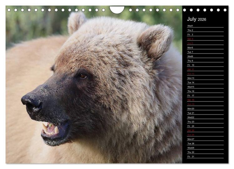 Produktbild: North America's Wildlife (Wall Calendar 2026 DIN A4 landscape), CALVENDO 12 Month Wall Calendar