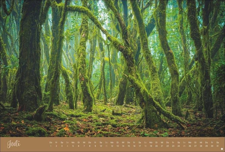 Produktbild: Zauberw&auml;lder Edition Kalender 2027