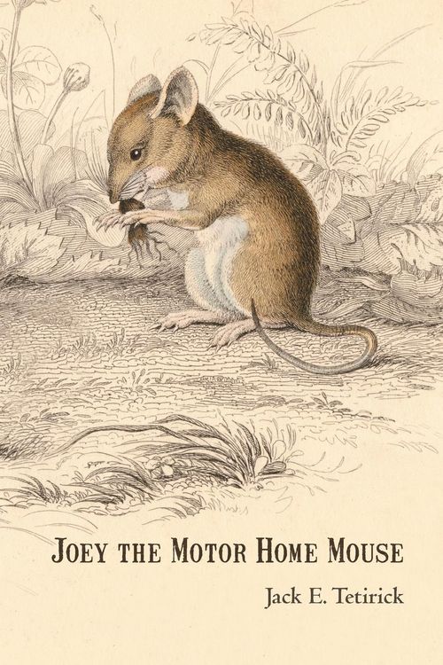 Produktbild: Joey the Motor Home Mouse
