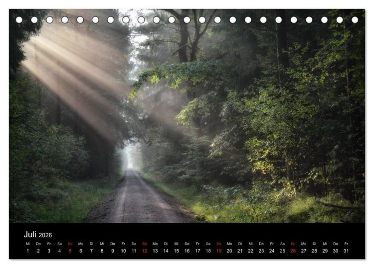 Produktbild: Waldkalender (Tischkalender 2026 DIN A5 quer), CALVENDO Monatskalender