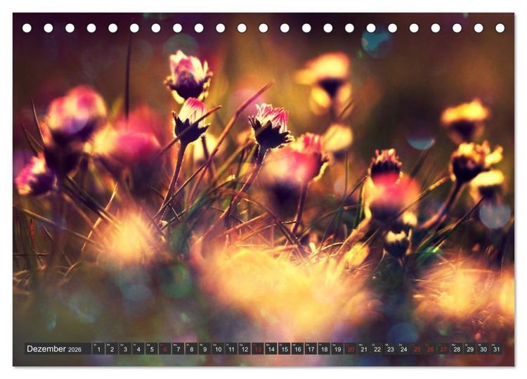 Produktbild: G&auml;nsebl&uuml;mchen Poesie (Tischkalender 2026 DIN A5 quer), CALVENDO Monatskalender