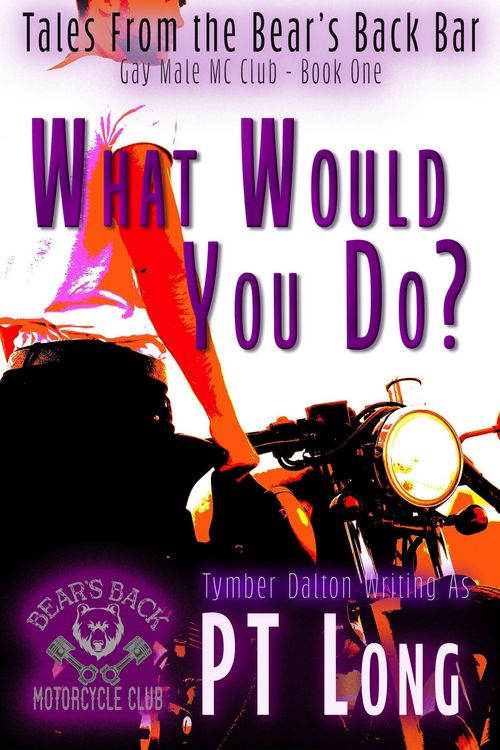 Produktbild: Tales From the Bear's Back Bar: What Would You Do?: Gay Male MC Club (Bear's Back MC Club, #1)