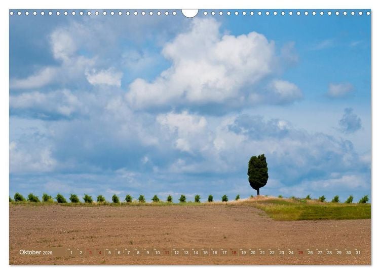 Produktbild: Wein - Landschaften (Wandkalender 2026 DIN A3 quer), CALVENDO Monatskalender