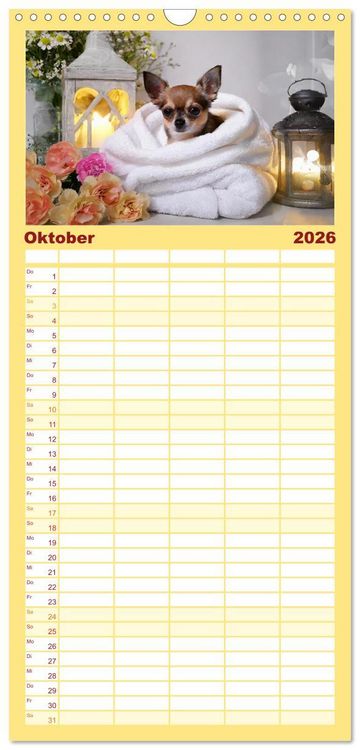 Produktbild: Familienplaner 2026 - Chillige Chihuahuas - Entspannte Fellnasen genie&szlig;en das Leben mit 5 Spalten (Wandkalender, 21 x 45 cm) CALVENDO