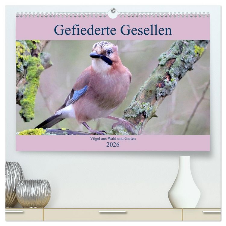 Produktbild: Gefiederte Gesellen - V&ouml;gel aus Wald und Garten (hochwertiger Premium Wandkalender 2026 DIN A2 quer), Kunstdruck in Hochglanz