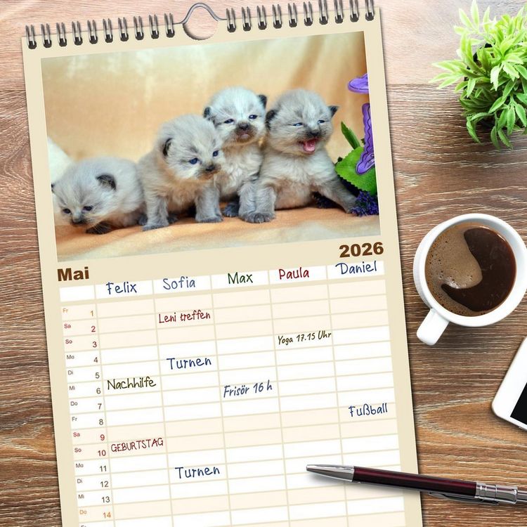 Produktbild: Familienplaner 2026 - Katzenparade mit 5 Spalten (Wandkalender, 21 x 45 cm) CALVENDO
