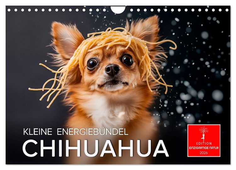Produktbild: Chihuahua - kleine Energieb&uuml;ndel (Wandkalender 2026 DIN A4 quer), CALVENDO Monatskalender