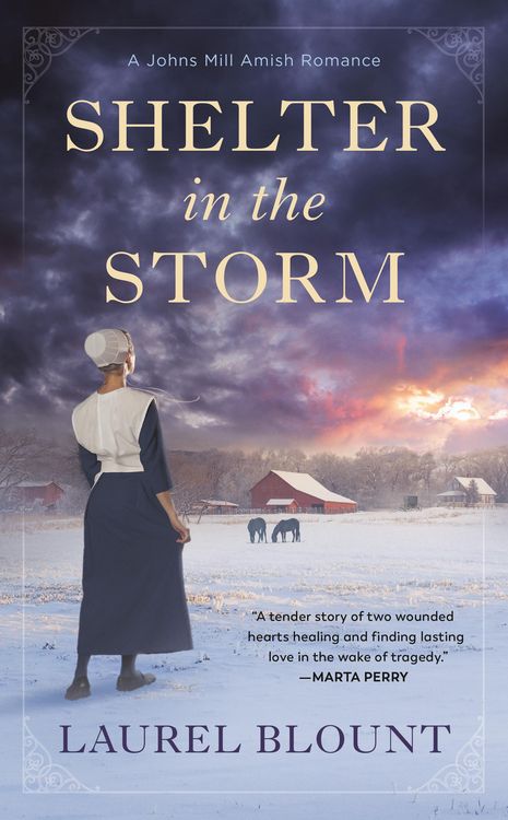 Produktbild: Shelter in the Storm